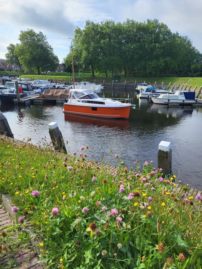 NEXUS REVO 870 CABRIO ELECTRIC | 100% electric cabin cruiser